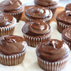 Keto Co. Chocolate Ganache Cupcakes